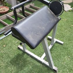 CB31 Preacher Curl Machine