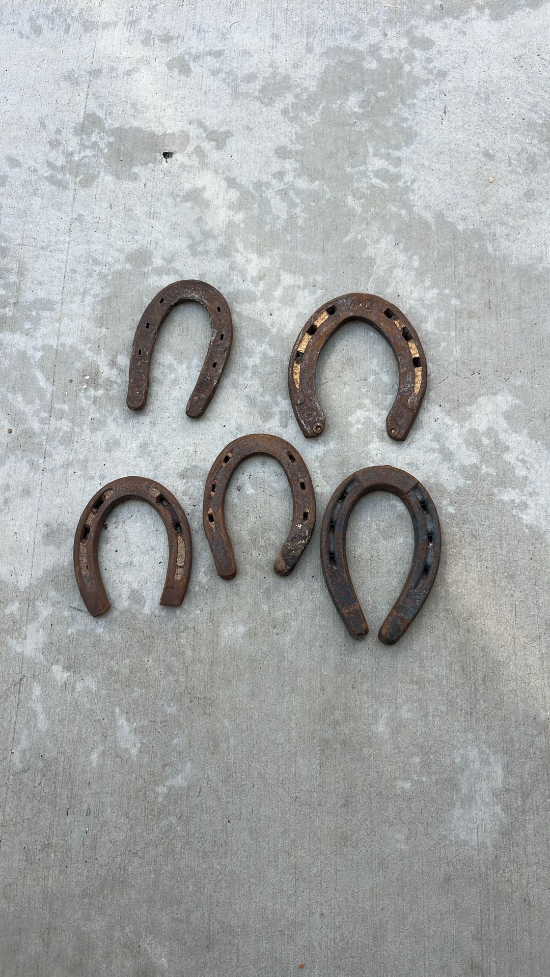 5 Horseshoes