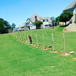 Privacy Fence 