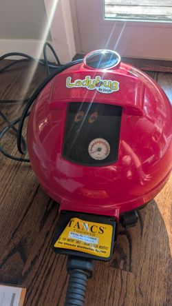 Ladybug VaporJet Steam Cleaner