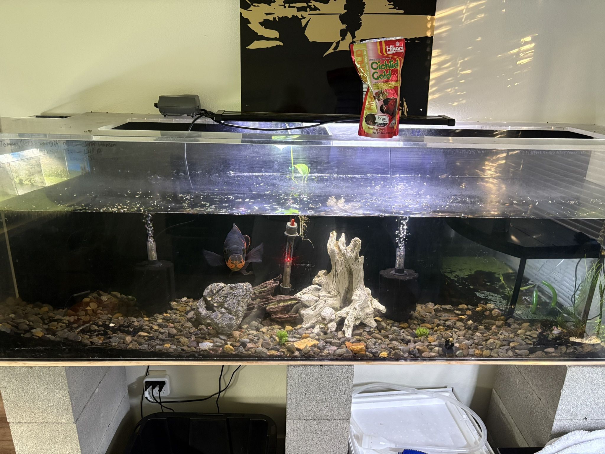 Aquariums/ Fish Tanks