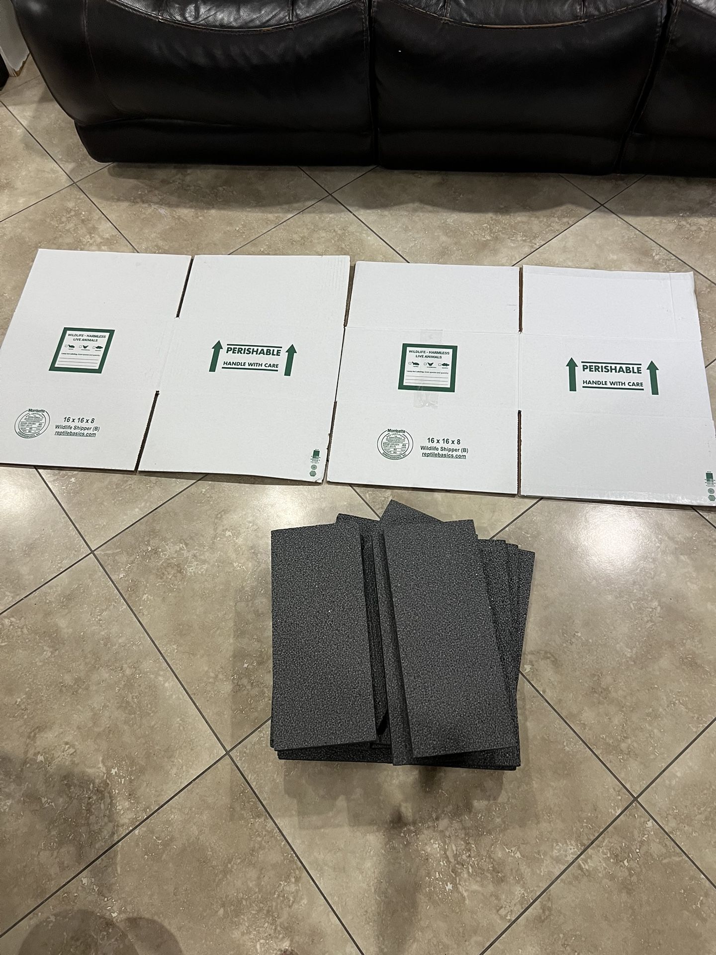 2 Big Reptile Shipping Boxes
