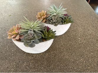 Fake succulent plants