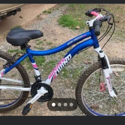 Genesis Bike 