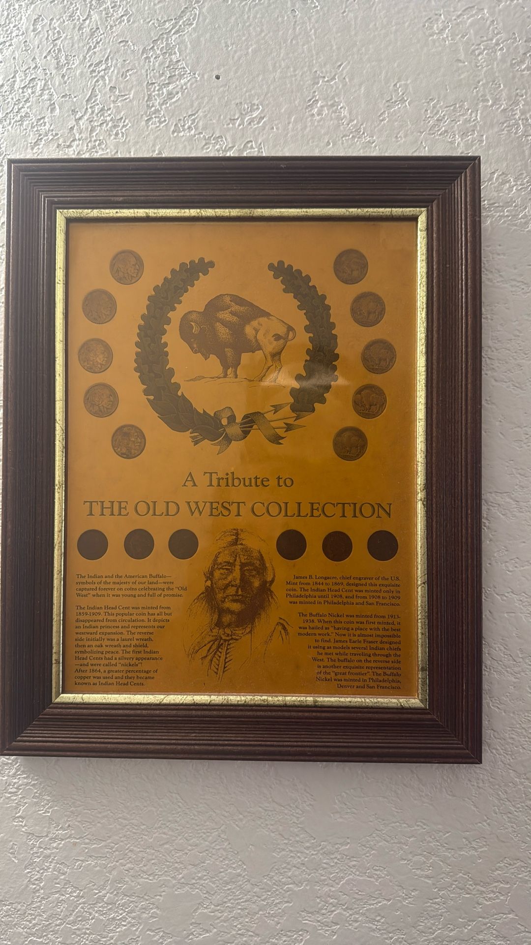Antique Buffalo Coins $100