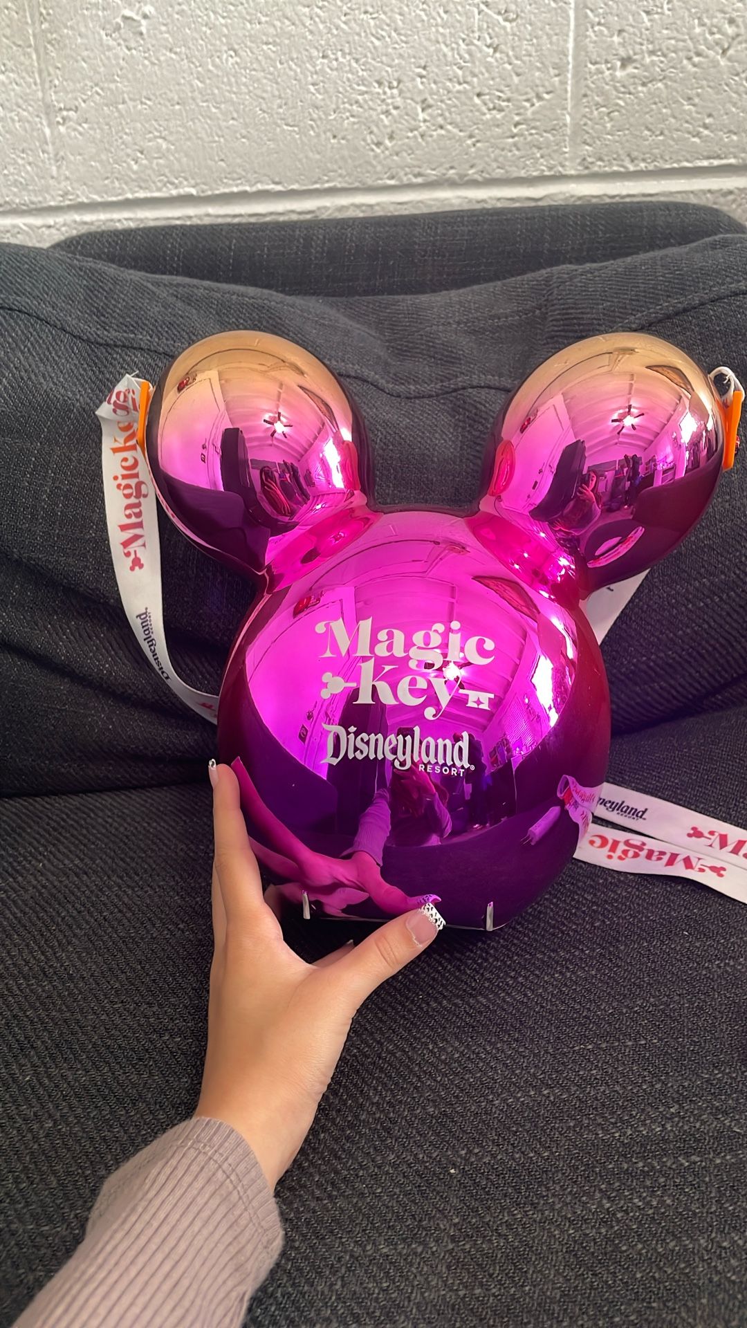 Disneyland Bag