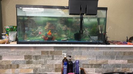 Fish tank