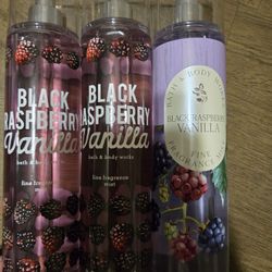 Bath & Body Works Black Raspberry Vanilla Fine Fragrance Mist  RARE & DISCONTINUED 