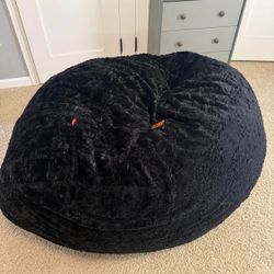Bean Bag Chair/Bed