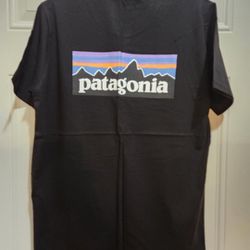 Patagonia  T-shirt   Men Size M