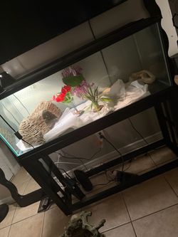 100 gallon tank