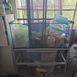 Complete Mouse Or Hamster Start Up Kit