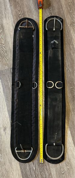 Cinch and Surcingle