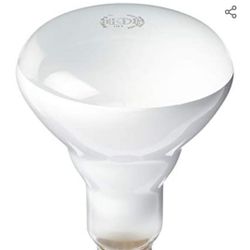 Light Bold for Ceiling
