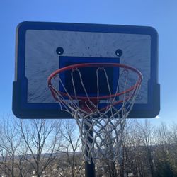 Free - Basketball net