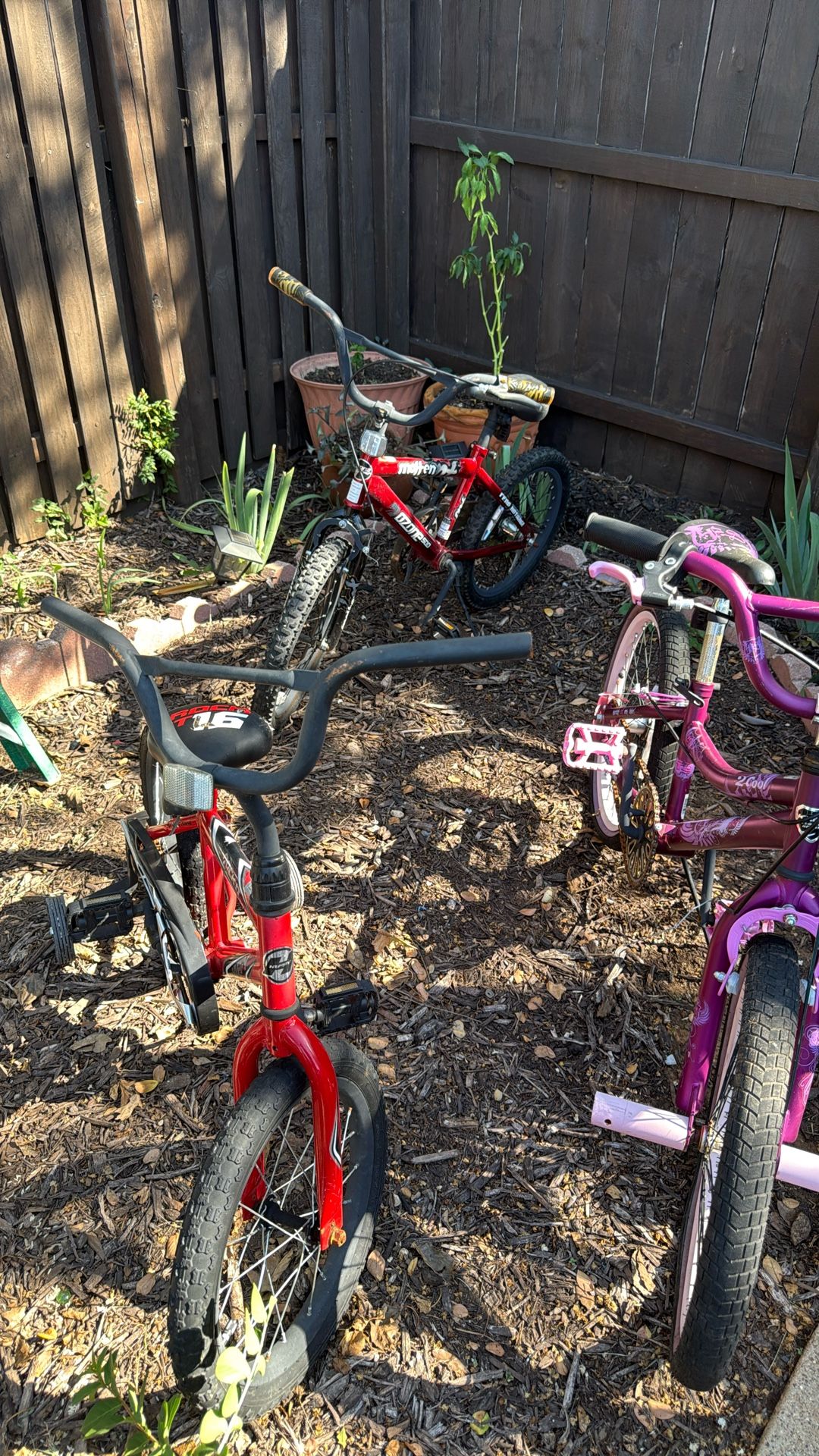 Lots Of Three Children’s Bicycles Appropriate For Like A Six-Year-Old Nine-Year-Old 10-Year-Old