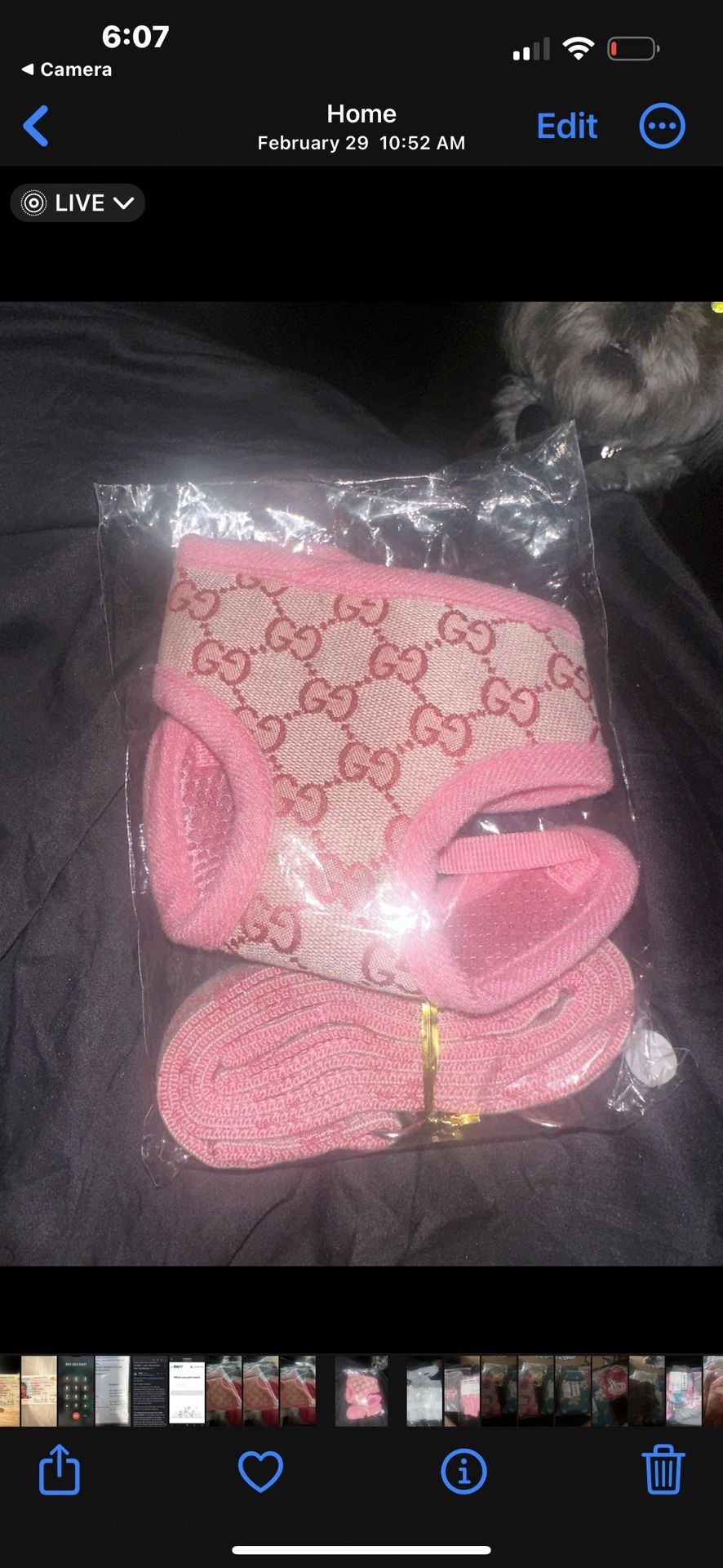 Designer Harness