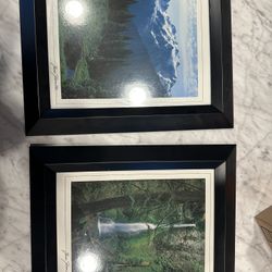 Two Framed Nature Photos
