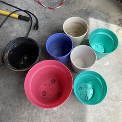 All Plants Rack For $4 For All