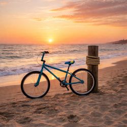 24inch Bmx (Trades) (Send Offer)