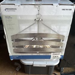 Brushed Nickel Light