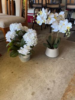 2 Artifical Plants $10