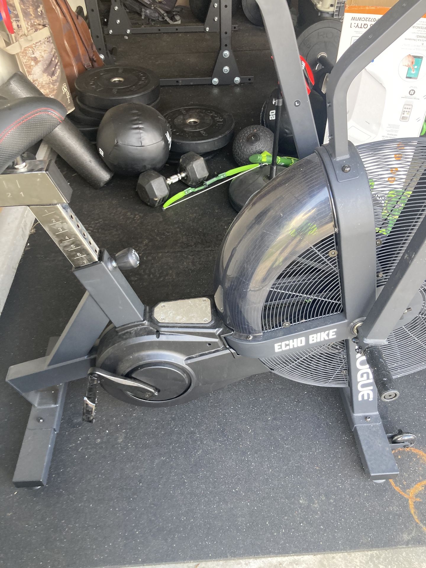 Rogue Echo Bike