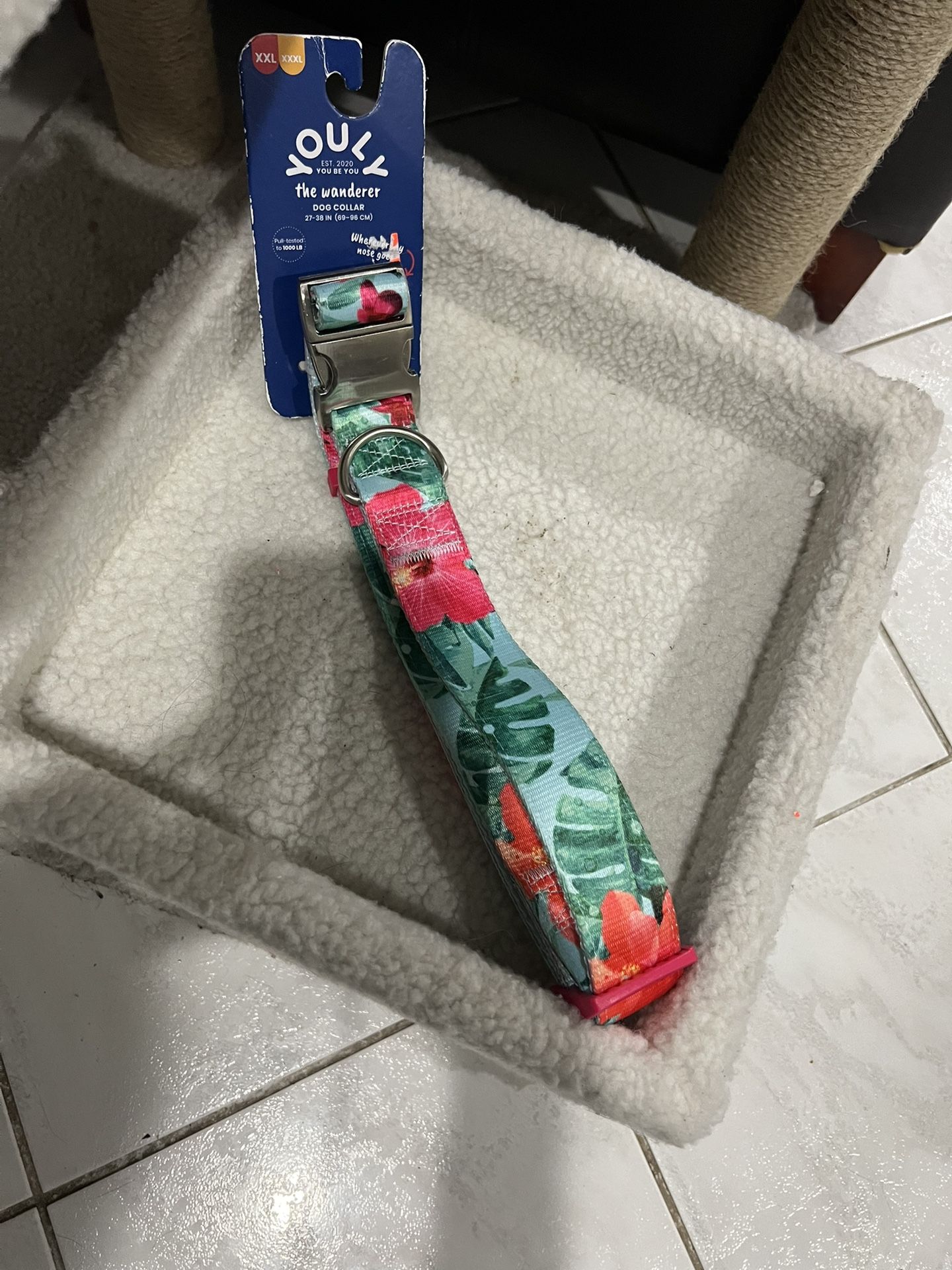 Dog Collars Different Sizes And Colors