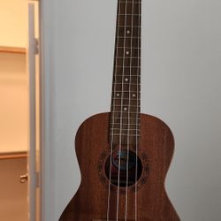 Amahi UKUKELE Concert