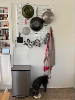 Kohler Stainless Steel  Trash Can