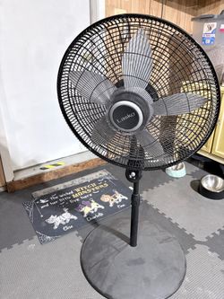 Standing Fan with Remote