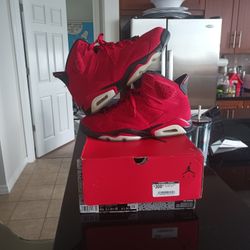 Air Jordan 6 Toro Bravo Size 10.5 