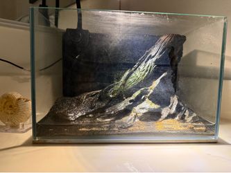Nature Driftwood Aquascape – 2.7 Gallon Rimless Tank with LED Light