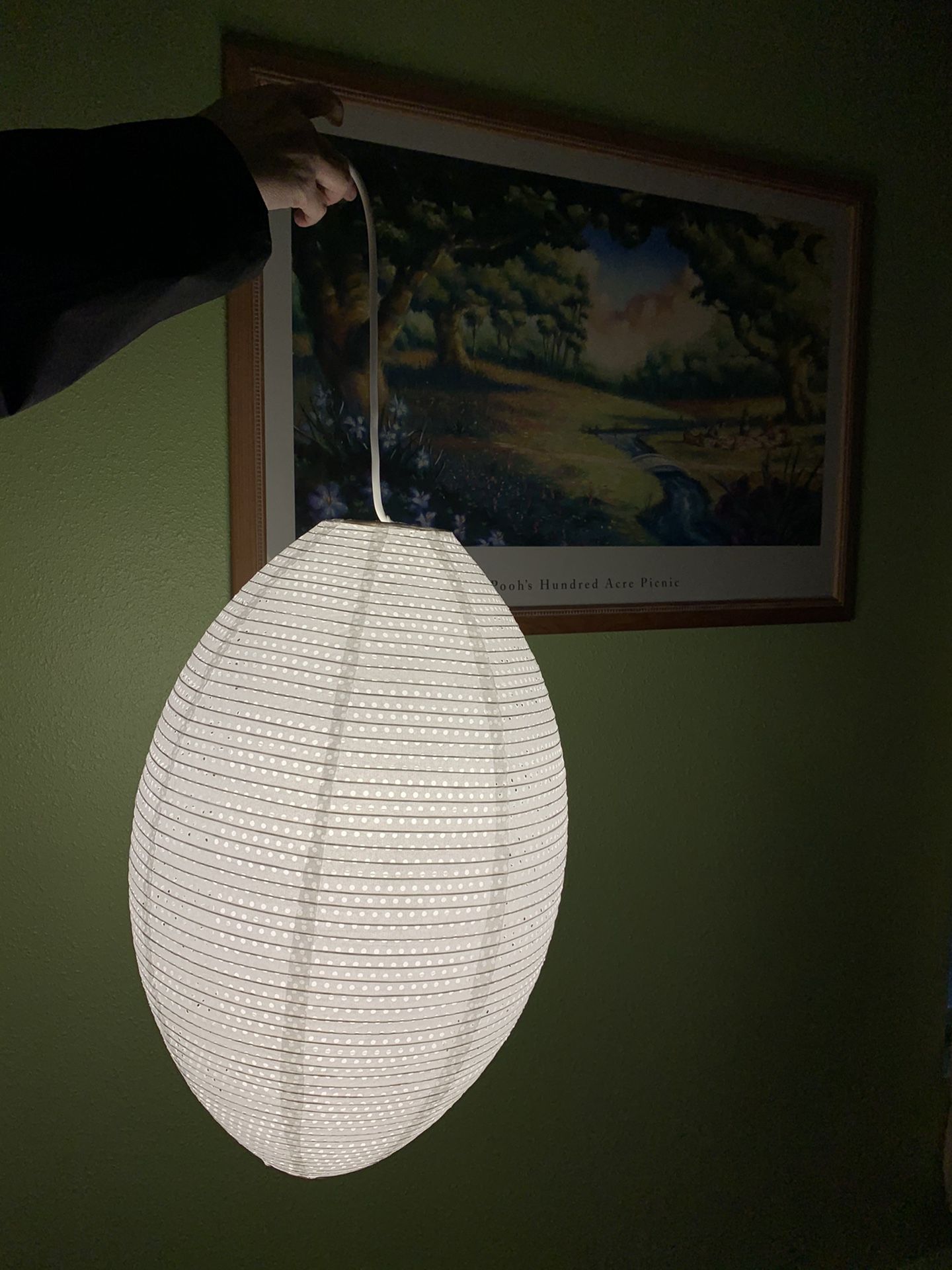 IKEA Pendant Lamp Shade & Cord with Lightbulb Included