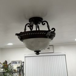Indoor Ceiling Light