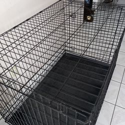 Extra Large Dog Cage  42/28/31
