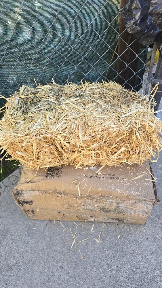 Bale Of Hay