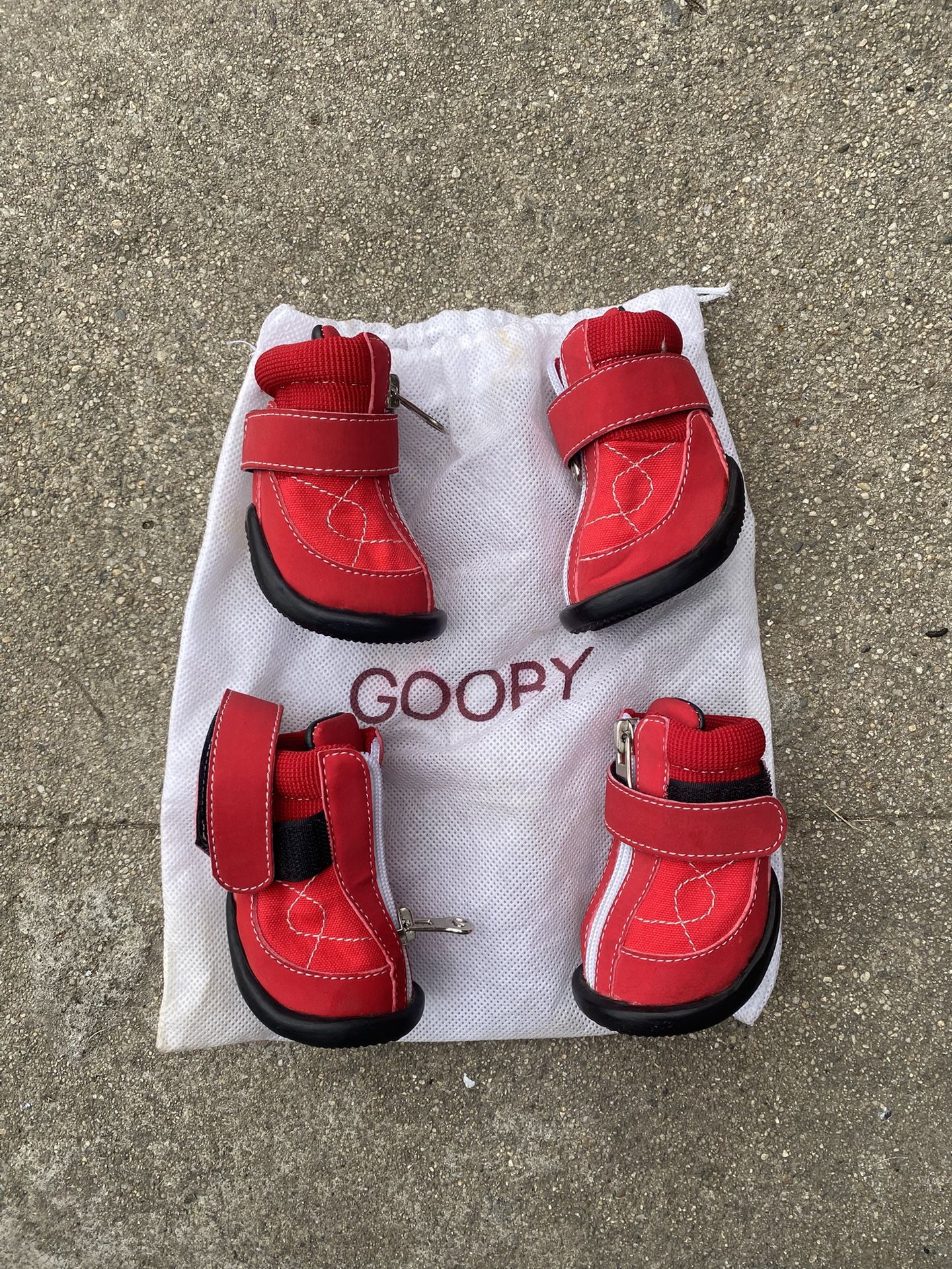 Dog Shoes 