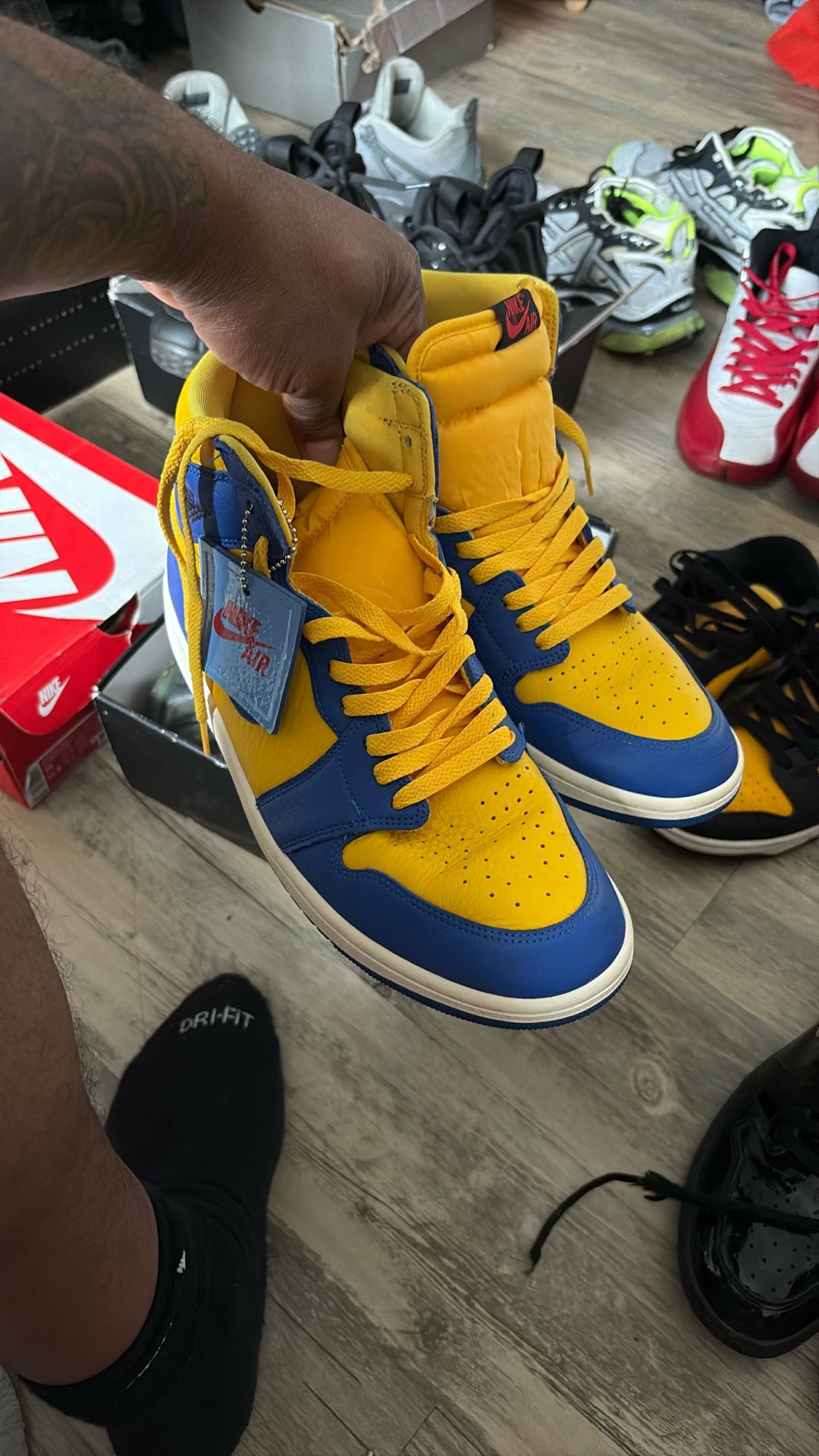 Yellow Blue Jays