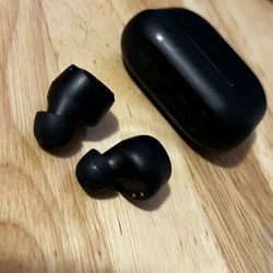 JLab Earbuds