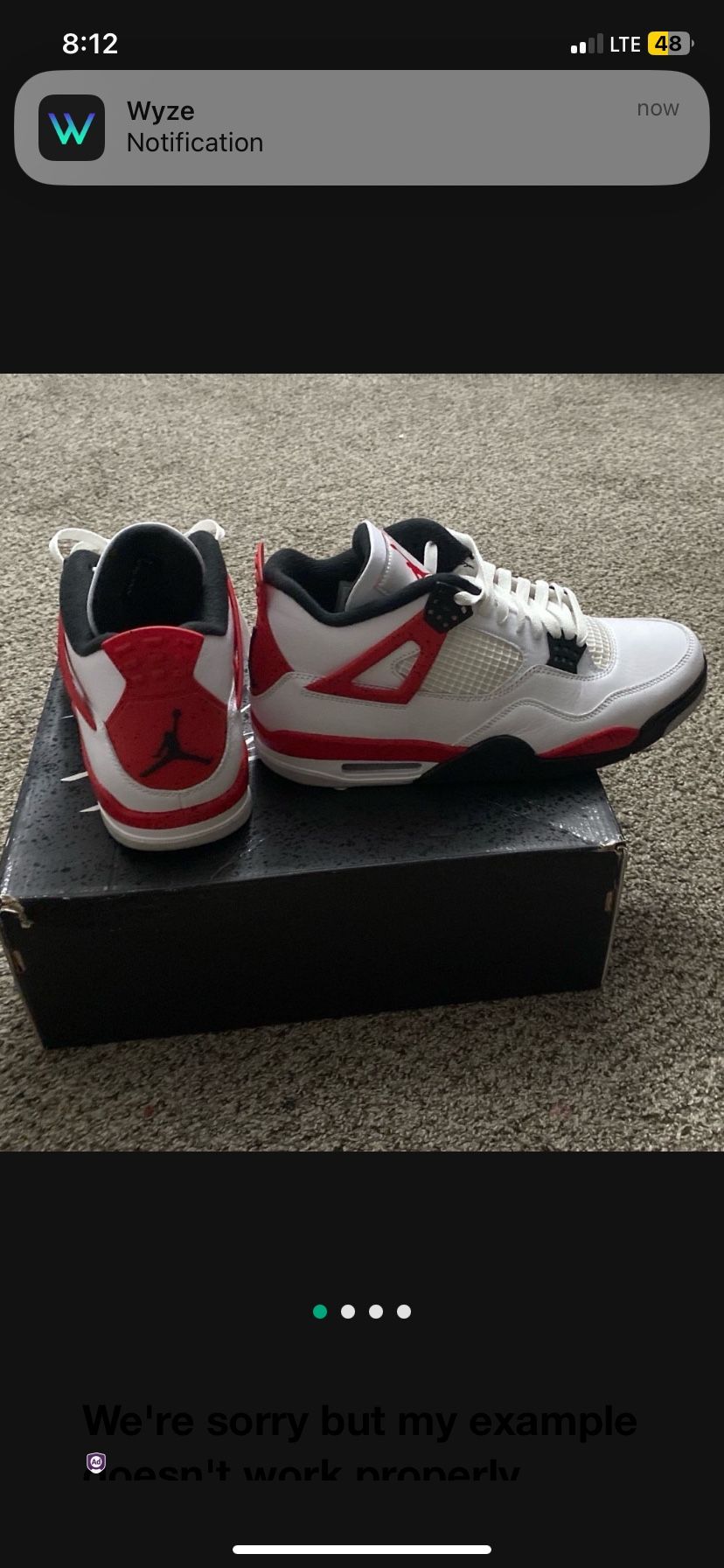 Jordan 4z