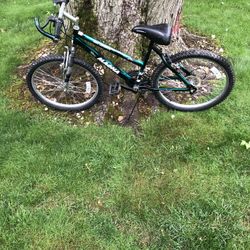 24” Mountain Bike 