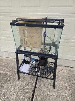 20 Gallon Tall Fish Tank And Supplies