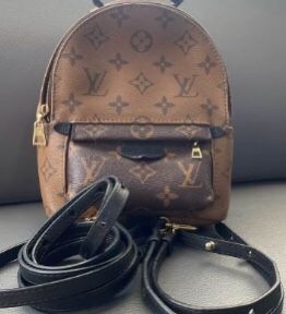 Louis Vuitton backpack