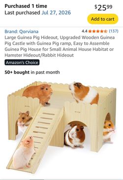 Large Guinean Pig  HIDE AWAY