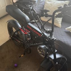 Goldoro E Bike