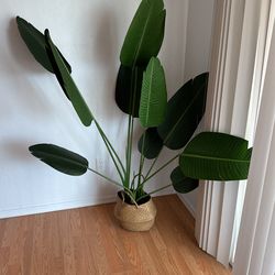 5 Feet Tall Birds Of Paradise Faux Plant