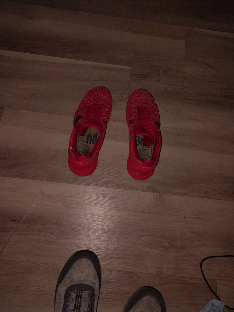 Very Rare Kobe Bryant Reverse Griches6's Size 11