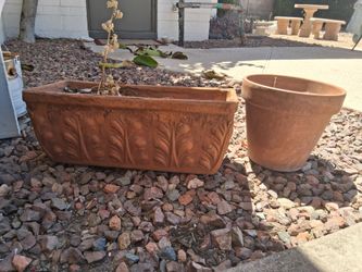 Large plant pots