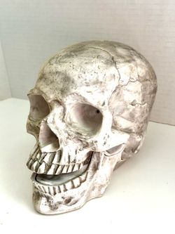 Vintage Occasions Halloween Light-Up Motion-Sensored Animatronic Skull Decoration